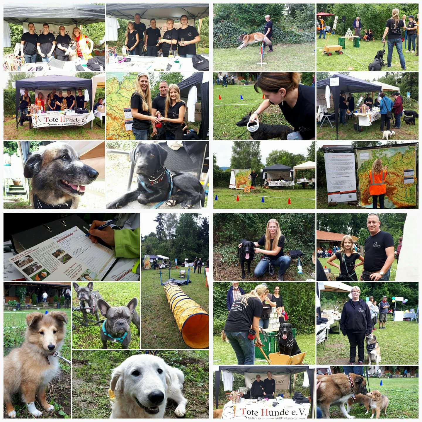 Infostand von Tote Hunde e.V. beim Sommerfest Knöringen 2017