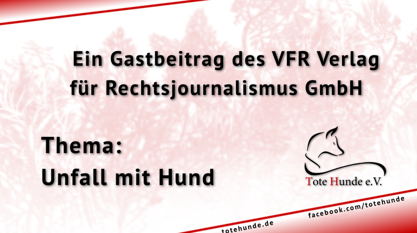 Gastartikel – Unfall mit Hund